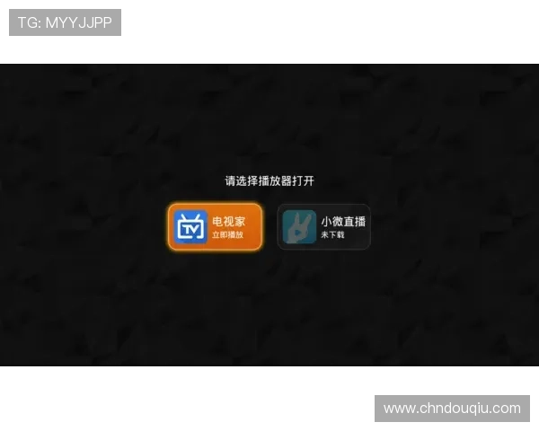 dqtv斗球官网直播频道选择与观看体验提升方法介绍