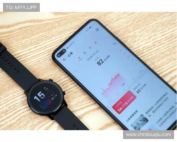 如何安全快速地进行斗球app电脑版下载安装，避免常见错误与风险