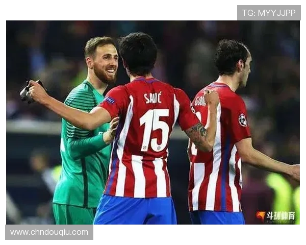 斗球tv版体育直播如何提升观看体验的实用技巧与常见问题解答