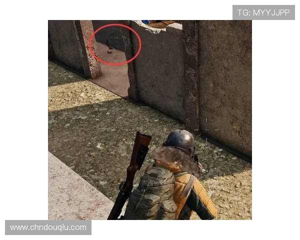 斗球官网电脑版玩家交流社区，分享游戏心得与互动经验