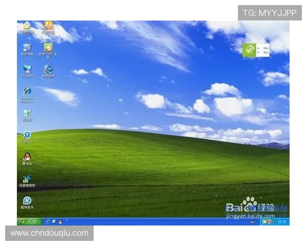 斗球电脑版官方下载教程新手必看，详细步骤帮你轻松完成安装