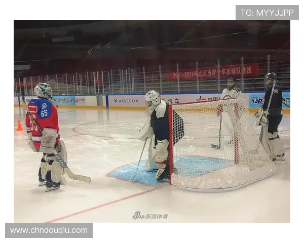 斗球体育直播全面解析最新赛事直播平台的优缺点与观看体验提升指南