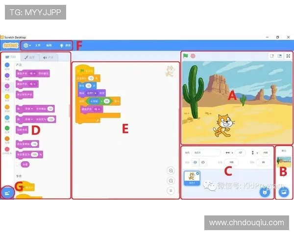 斗球软件怎么下载使用详细教程，帮助新手快速掌握操作步骤
