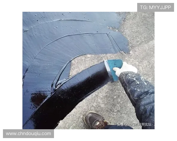 苹果用户必看斗球app下载官网最新版本下载安装指南